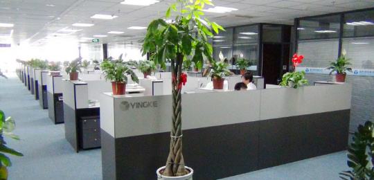 6 冯娴英律师盈科律师事务所全球总部任职
